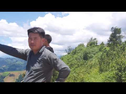 Video: Ntshai Tuag - Txoj Kev Daws Teeb Meem