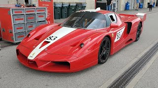 Ultra rare ferrari enzo fxx