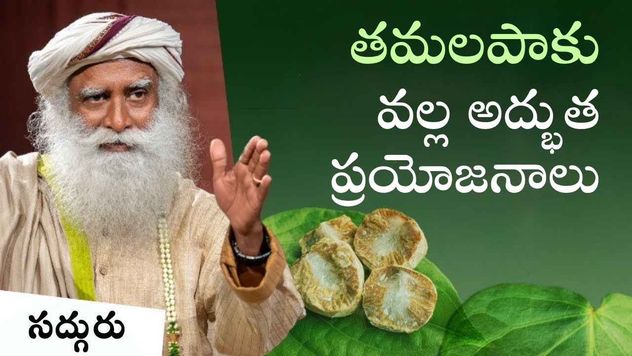 తమలపాకు వల్ల ప్రయోజనాలు Incredible Benefits of Betel Leaf And Nut 
