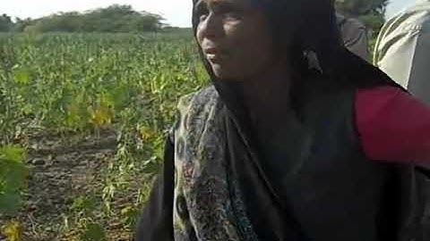 The Bhungroo (Straw)- An Intervention for water logging and irrigation in saline soils