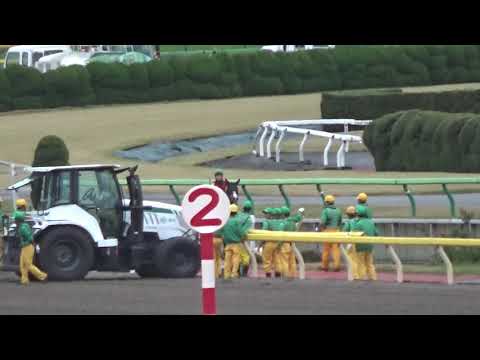 2019 ジャパンカップ ダンビュライト入場