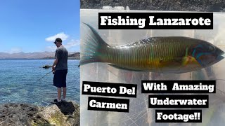 Sea Fishing in the Canary Islands ,LANZAROTE! With Amazing Underwater Footage!!