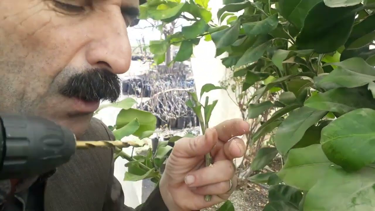 موتوربەی پـــرتەقـــاڵ