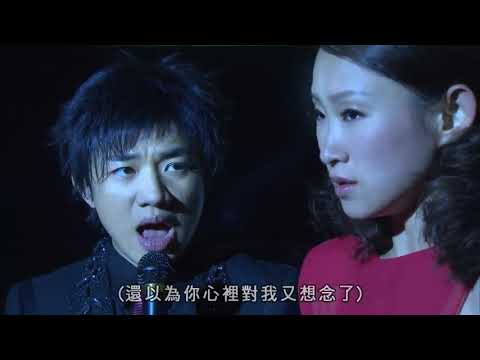 💔「我真的受傷了」(王菀之/王祖藍)(國)