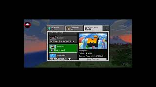 when your ping is the 32-bit Integer limit