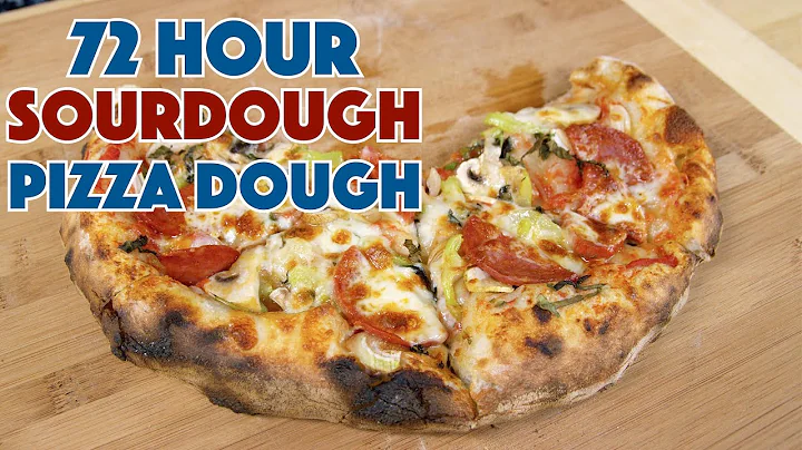 72 Hour SourDough Pizza Dough Recipe
