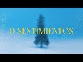 0 Sentimientos (Video Oficial) - Jasiel Nuñez image