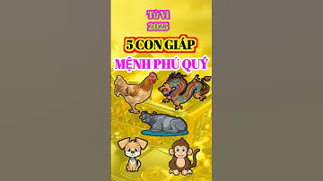 Năm 2025 này 5 Con Giáp có MỆNH GIÀU SANG