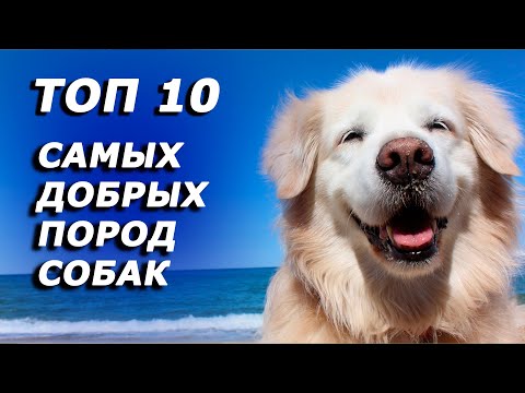 ТОП 10 