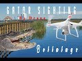 Bellalago Gator Sighting by Drone