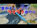「ピーマン」はたっぷりの水が必要！潅水チューブで十分な水やりをNO298