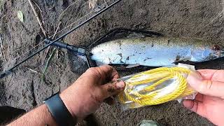 Steelhead Sandy River July 2022