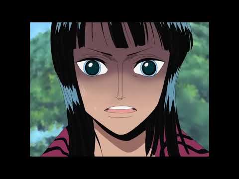 Nico Robin finds