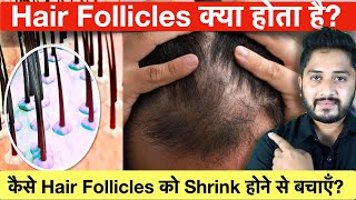 What Is A Hair Follicle? How To Increase Hair Follicles?