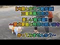 【犬猫と歩こう散歩道】三重県鳥羽市の美しい散歩道‼️～愛犬愛猫と特別な思い出を作ってみませんか？～