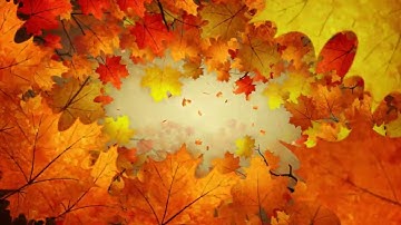 3233  - Autumn Logo Reveal Opener tree leaf intro animation