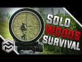 WOODS IS THE BEST MAP IN EFT (HIGH KILL SOLO RAIDS) - Escape From Tarkov