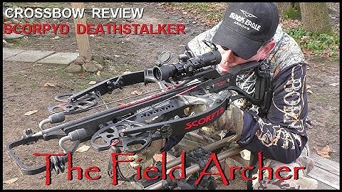 The Archery Review: Scorpyd Deathstalker 420