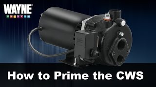 How to Prime the CWS Well Pump