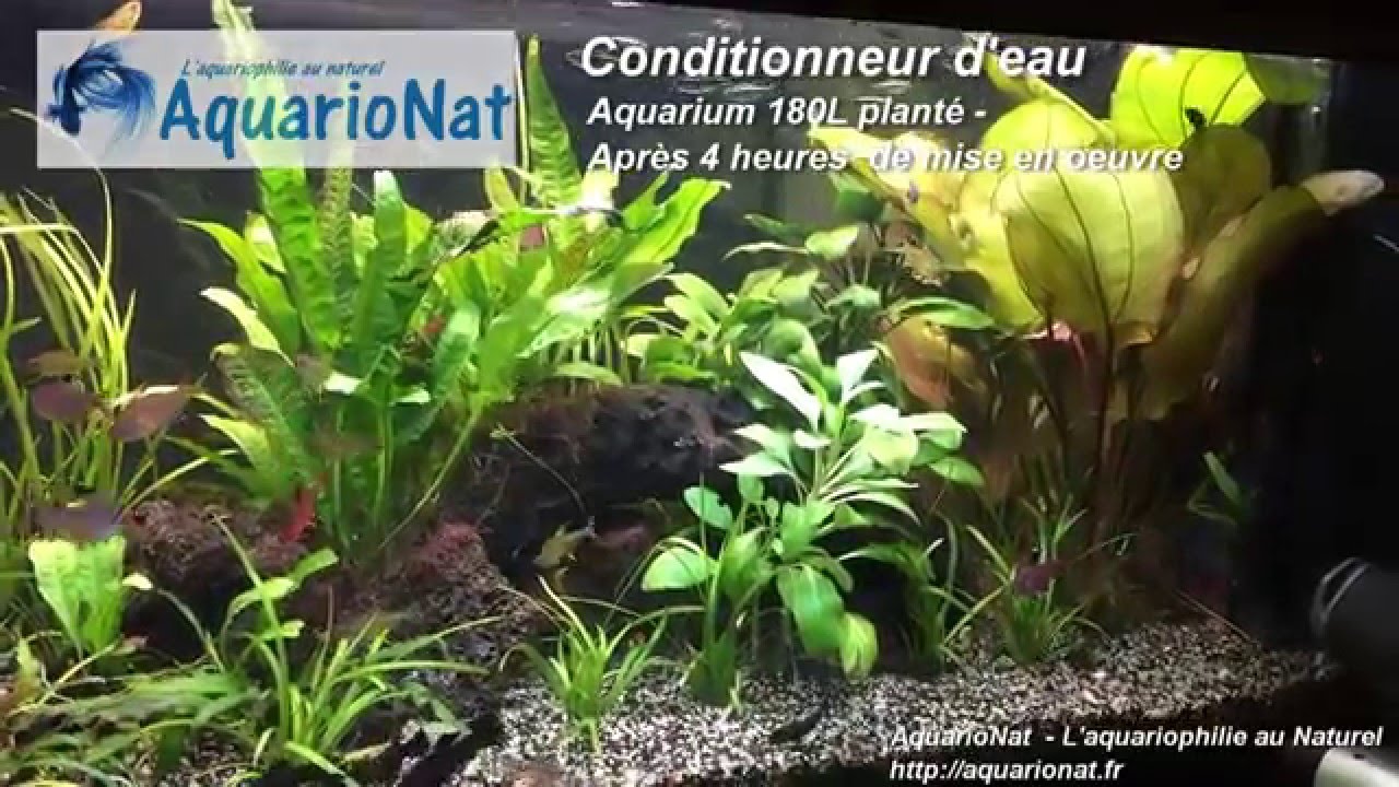 AquarioNat - Conditionneur d'eau 