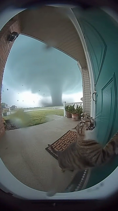Massive tornado bring the cat away #cctv #viral #shorts