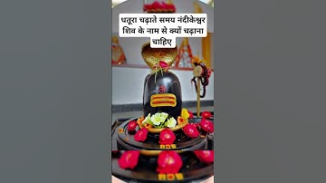 धतूरा चढ़ाते समय नंदीकेश्वर शिव के नाम से क्यों चढ़ाना चाहिए। #pradeepmishra #shivmahapuran #katha