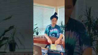 CICI Zhu - Zhengtronic Remix - DMX