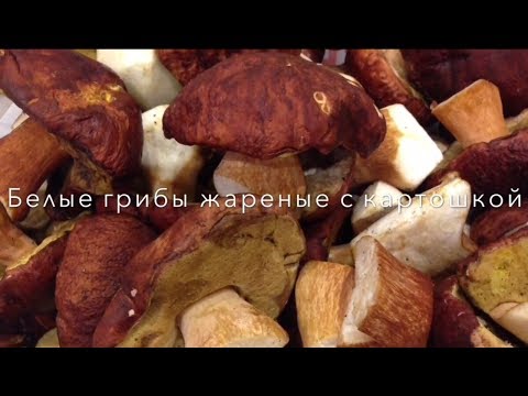 Белые грибы жареные с картошкой