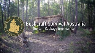 Bushcraft Survival Australia - Shelter: Cabbage tree lean-to