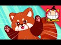 Help the Red Panda | Animal Rescue Team | with alan | for toddlers | REDMON