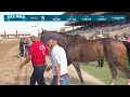 Funkenstein wins race 5 at Del Mar 8/17/24