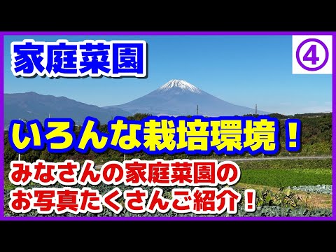 【みなさんの写真】いろんな栽培環境が！！やらかし隊員の報告も♪／家庭菜園／vol.4