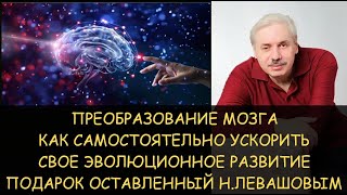 ✅ Эволюционное преобразование мозга от Николая Левашова - как самостоятельно ускорить свое развитие