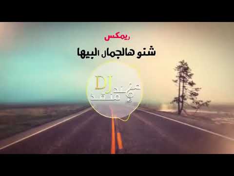 شنوالجمال البيها سحر كلبي 