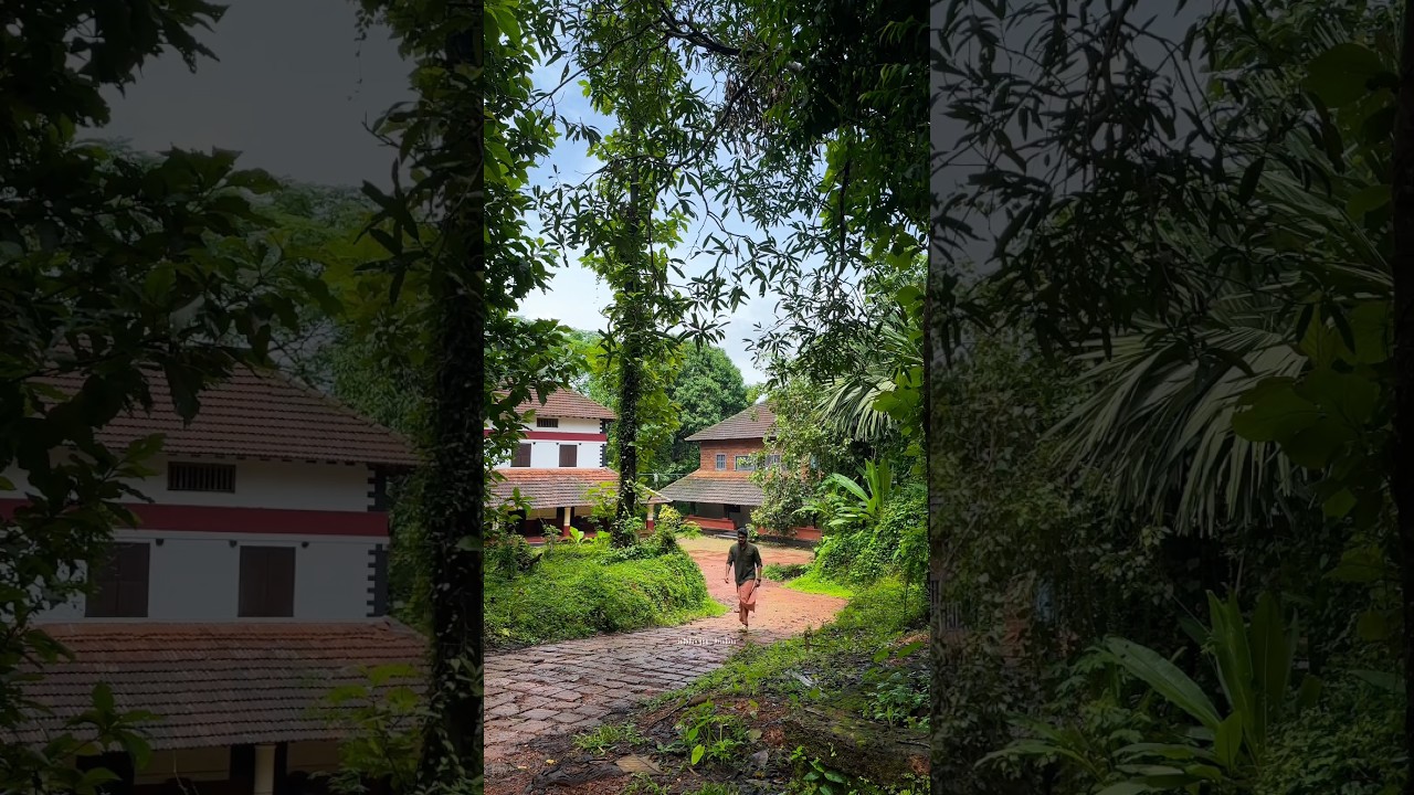 കുറുമാത്തൂർ ഇല്ലത്തിന്റെ ഭംഗി 🍃🌺 subscribe for more videos😊 #kurumathurillam