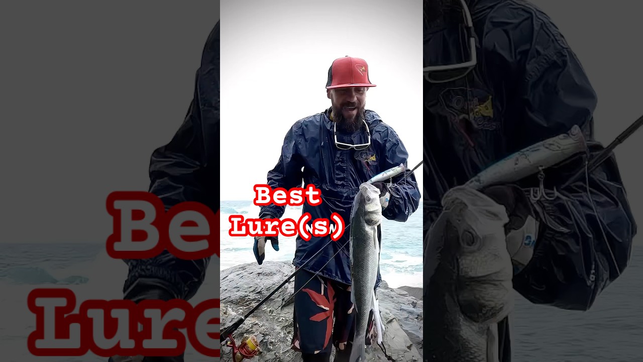 Best Sea Bass Fishing Lure(s) | Out For A Cast 