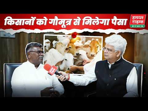 देशी गाय का गौमूत्र बना ATM। किसानों को मिलेगा पैसा। Haldhar Times। Cow।#cow #farming #kisan #news