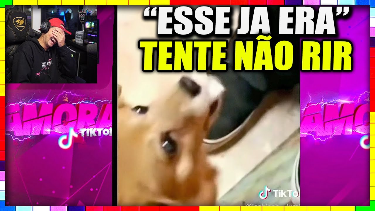 Coringa morreu de rir reagindo a esse video do gororoba narrada