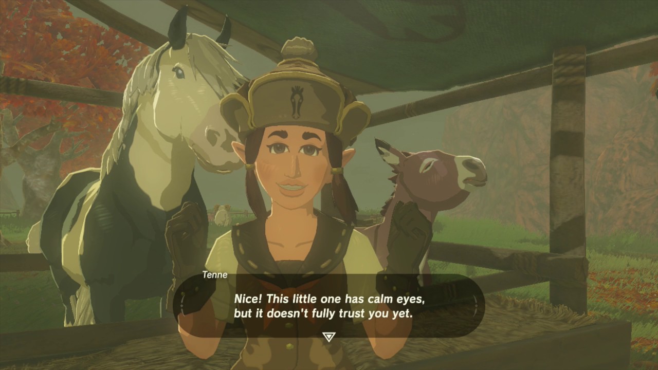 Let's Taste: Zelda Breath of the Wild - Part 14