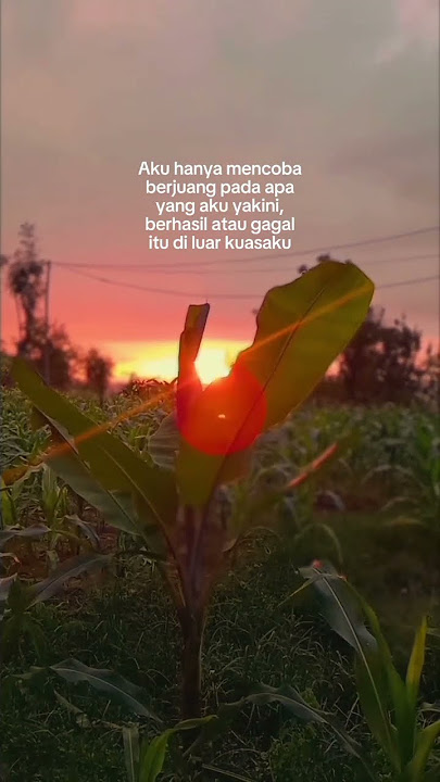 Story wa ' Lestari #subscribe #storywa #viraltiktok #shorts
