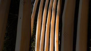 A new batch of Yew English Warbows. 70-140lbs bound for the four corners of the world. #fenwickbows