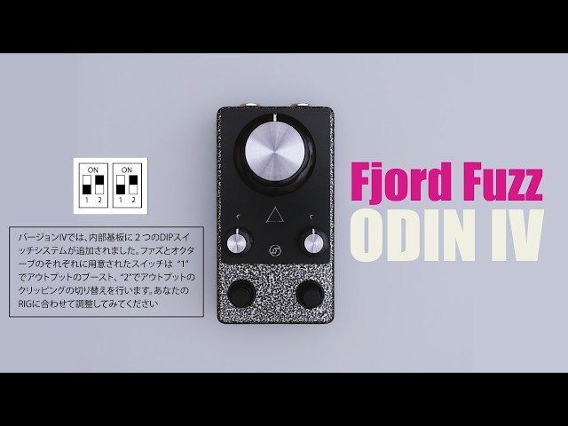 SOUND CHECK] Fjord Fuzz ODIN IV (Sound check by switching internal