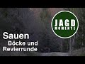 JagdMomente | Folge 17 | Sauen, Böcke und Revierrunde