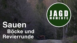 JagdMomente | Folge 17 | Sauen, Böcke und Revierarbeit