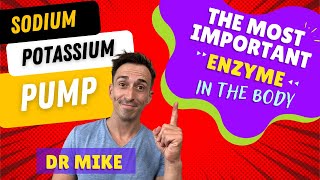 Sodium Potassium Pump | The Most Important Enzyme in the Body!