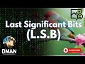 Unlock the Secrets of LSB Steganography: A Complete Guide π