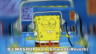 DJ MASHUP V17 🎧 (Slowed&Reverb) 😎👊