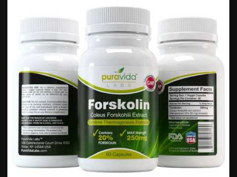 Quickest way to lose arm fat image 5