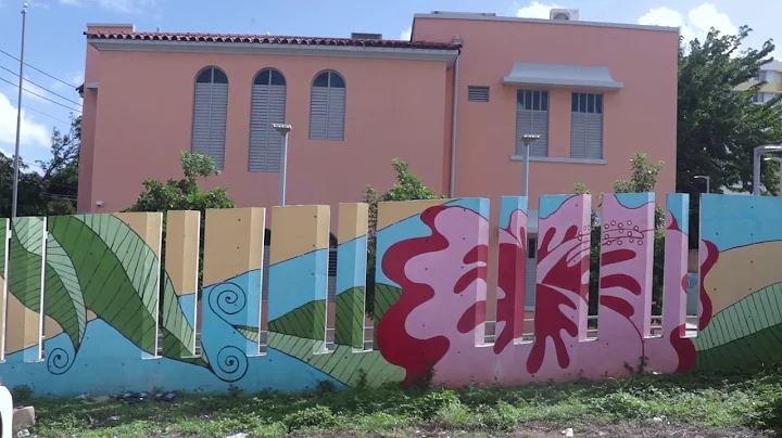 Critas de Puerto Rico y su trabajo en Villa Palmeras