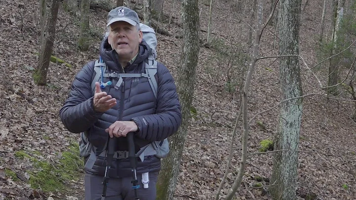 What to Expect as you Hike from Springer Mountain ...